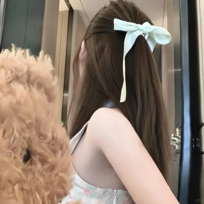 藏历一年 海报