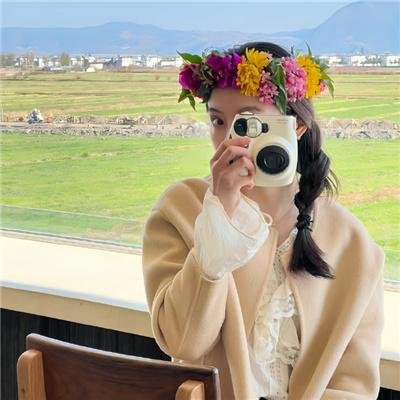 花与爱丽丝杀人事件 海报