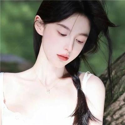 梅花档案 海报
